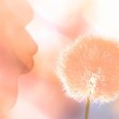 2024. év színe - Peach Fuzz - Barackpihe